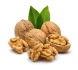 Предлагаме качествена и вкусна екологочно чиста орехова ядка