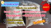 Raw Materials 5CLADBA supplier Telegram : +85256339380